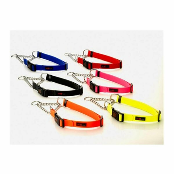 Nutnuez 1 in. Play Martingale Collar, Orange NU3538437